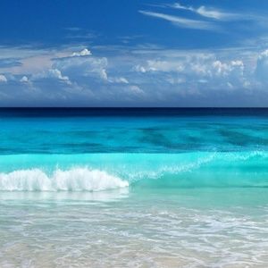 Meet your Posher, Marina